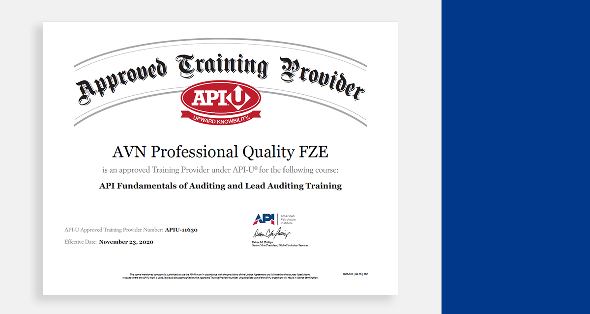 New Audit Certificate : AVN Professional Quality, Trusted API Consultants in India