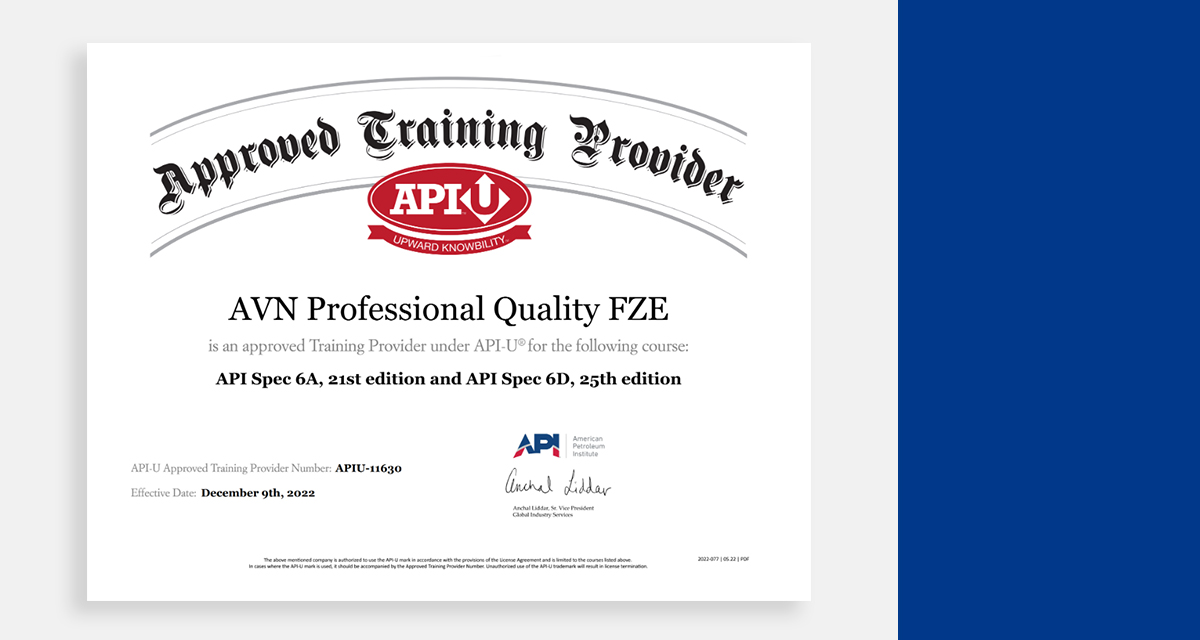 New 6A Certificate : AVN Professional Quality, Top API Consultants in India