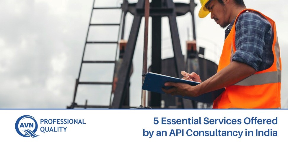 Top API Consultancy, AVN Professional Quality.